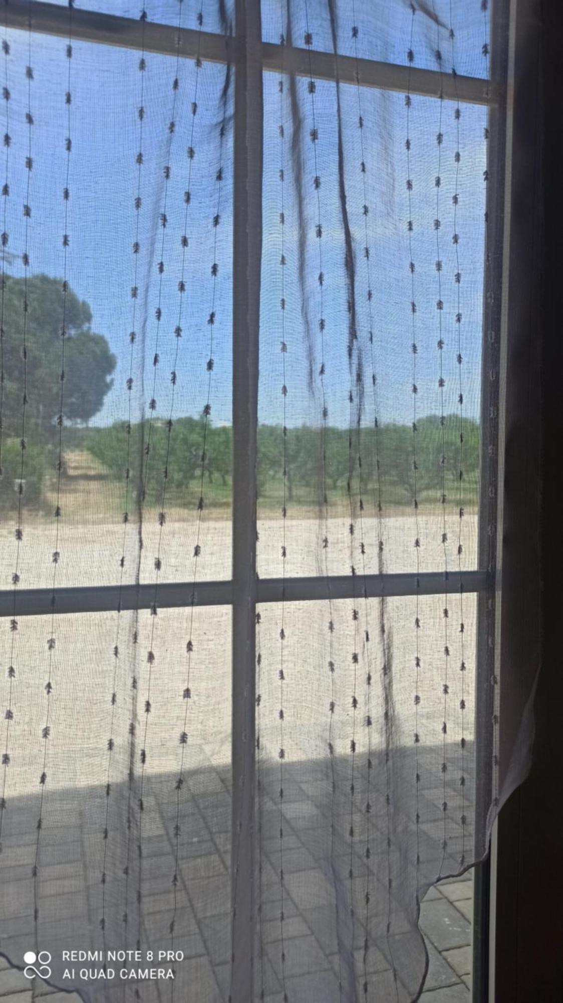 Agriturismo L' Annunziata Lizzano  Oda fotoğraf